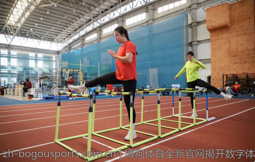 博狗体育全新官网揭开数字体育的新篇章
