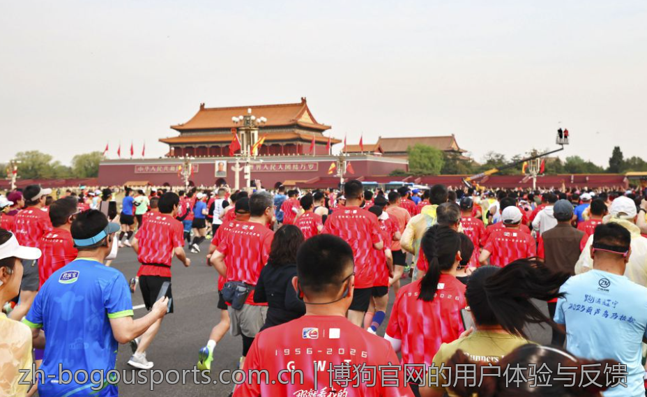 博狗官网的用户体验与反馈